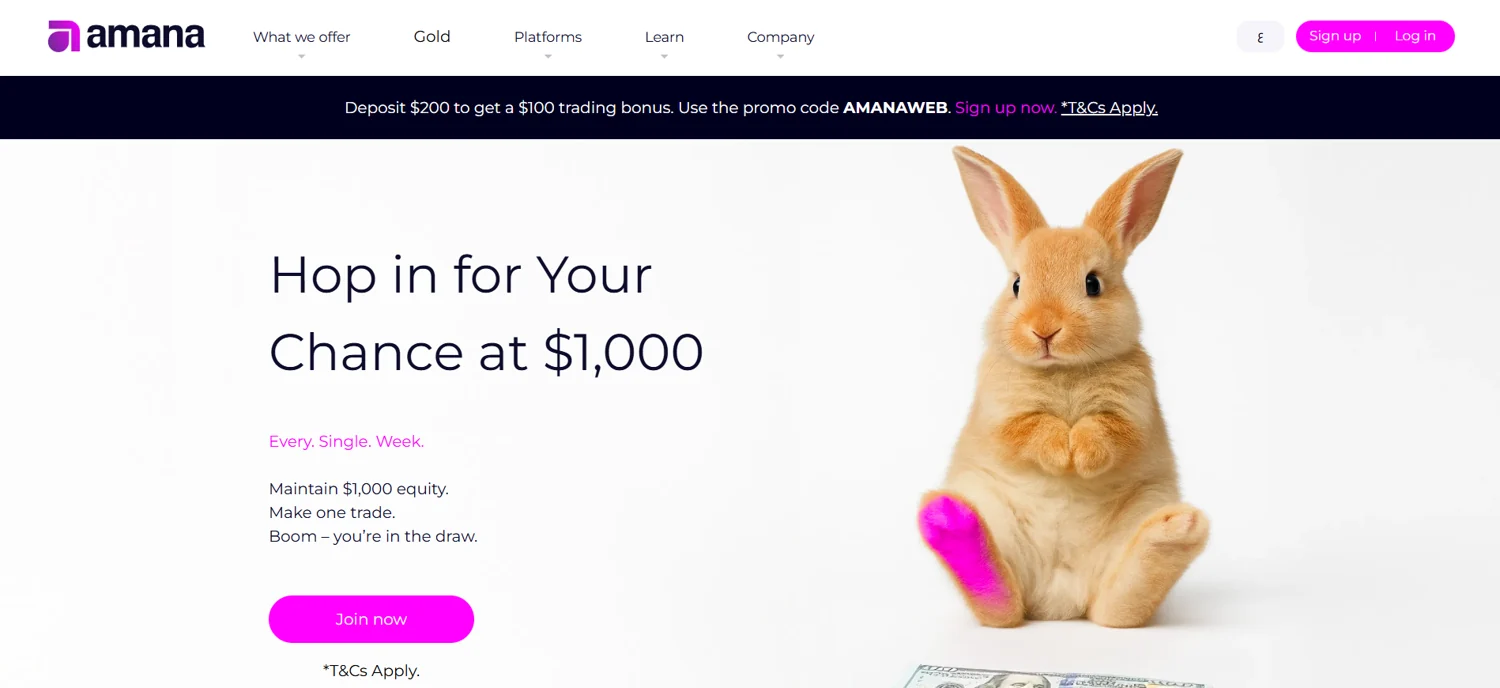 Amana website design